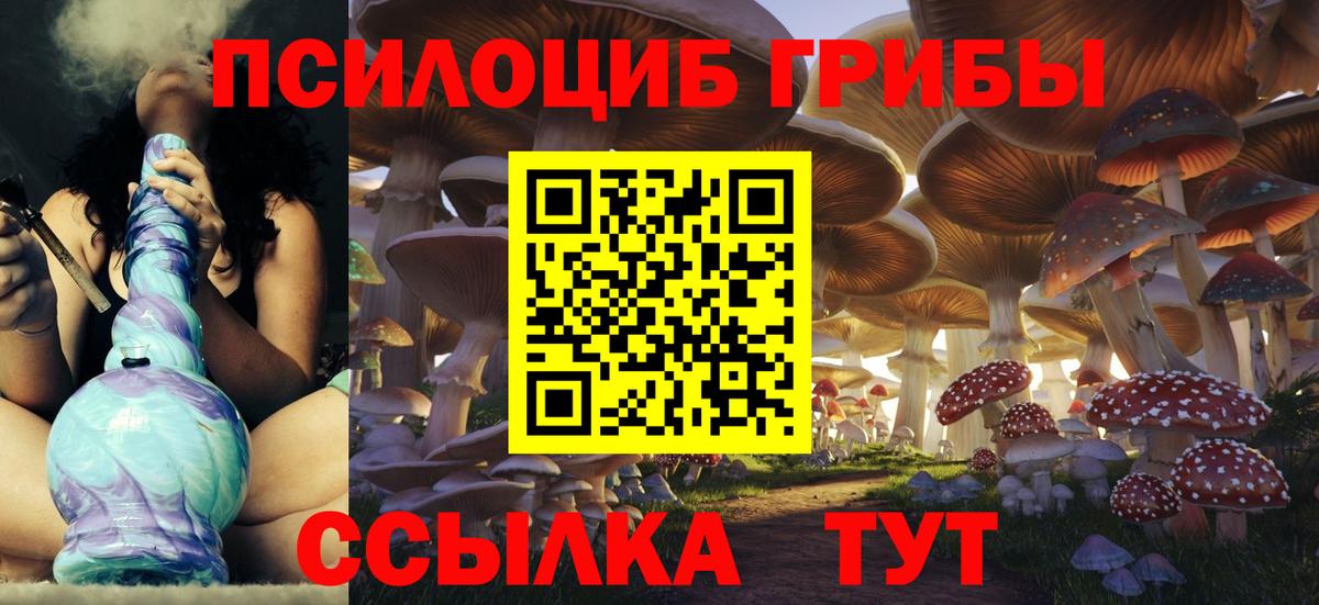 Псилоцибиновые грибы Cubensis Волжский