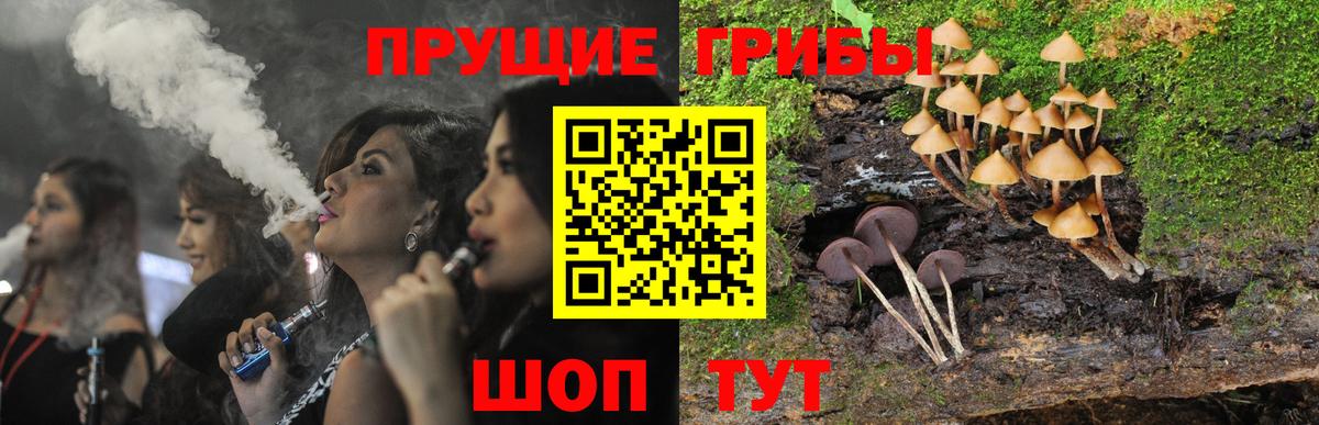Псилоцибиновые грибы прущие грибы  Вход с VPN  Волжский  Галлюциногенные грибы GOLDEN TEACHER 